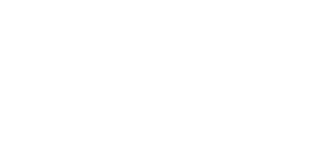 Vemsa Logo