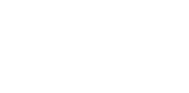 Vindosa Logo